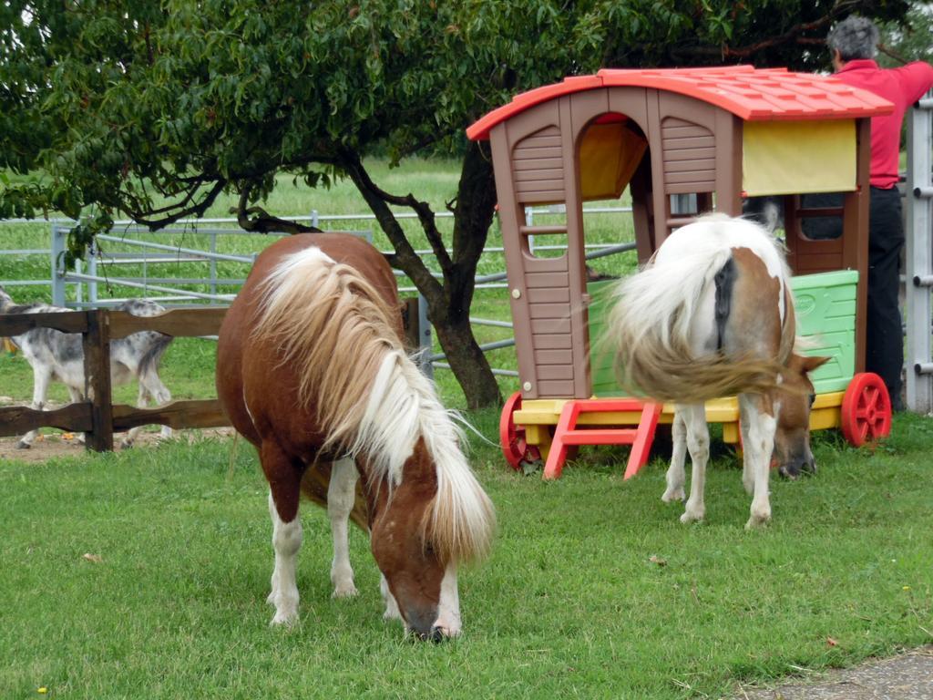 Bed And Breakfast Azienda Agricola Cascina Salazzara 마젠타 외부 사진