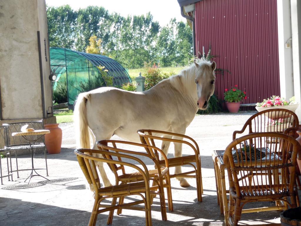 Bed And Breakfast Azienda Agricola Cascina Salazzara 마젠타 외부 사진